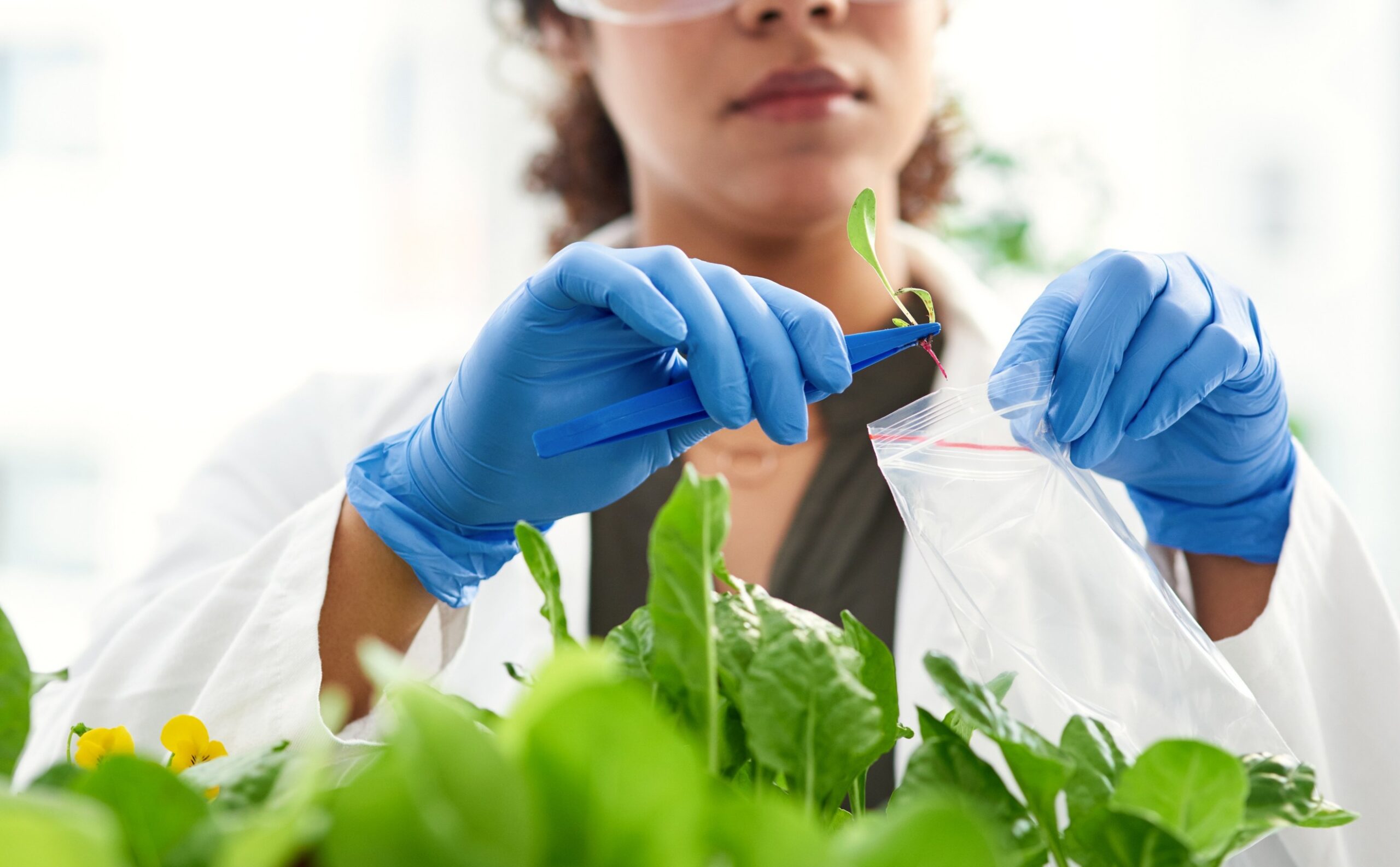 U.S. Cyclospora Outbreak Highlights Challenges for Public Health Surveillance