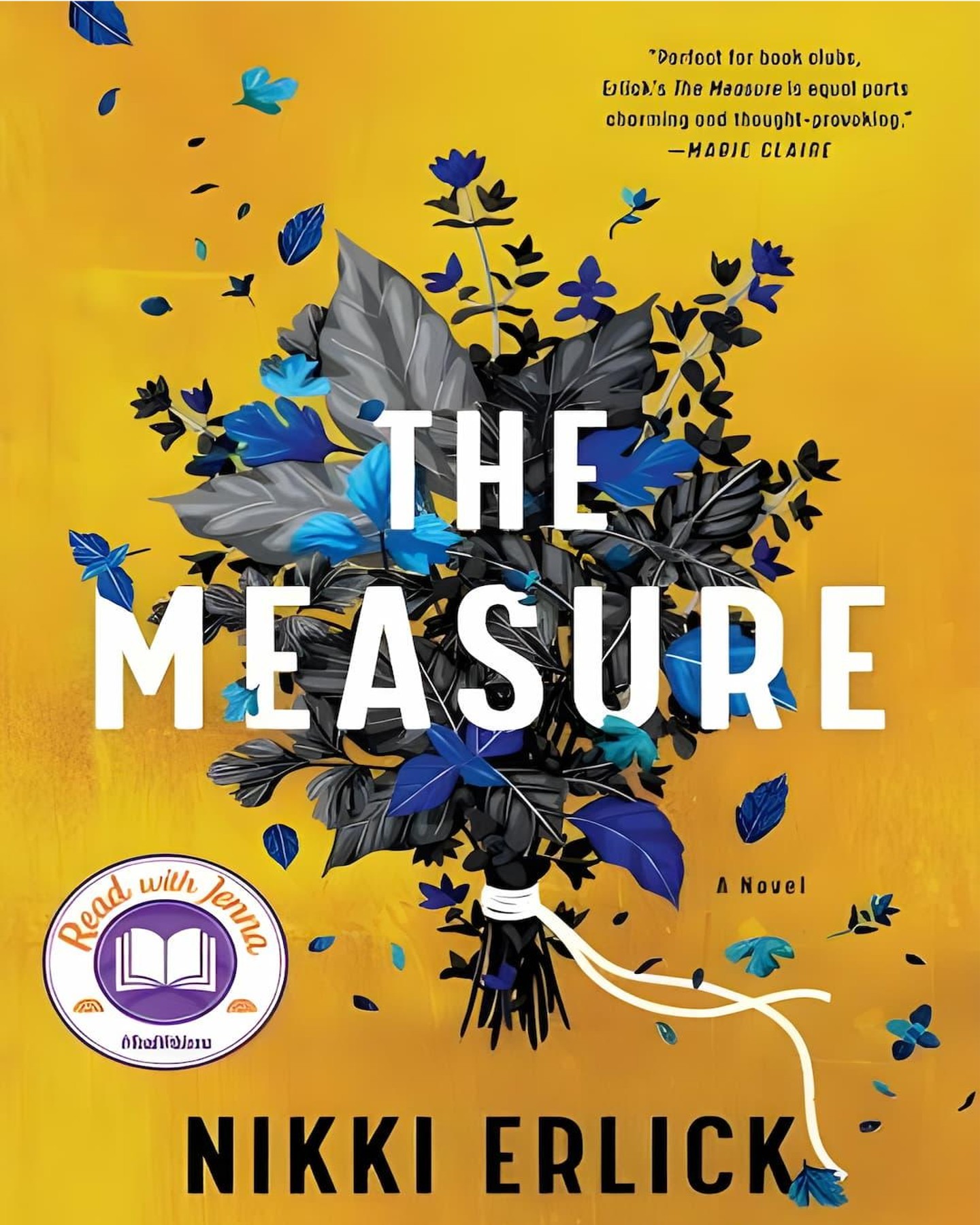 The Measure by Nikki Erlick