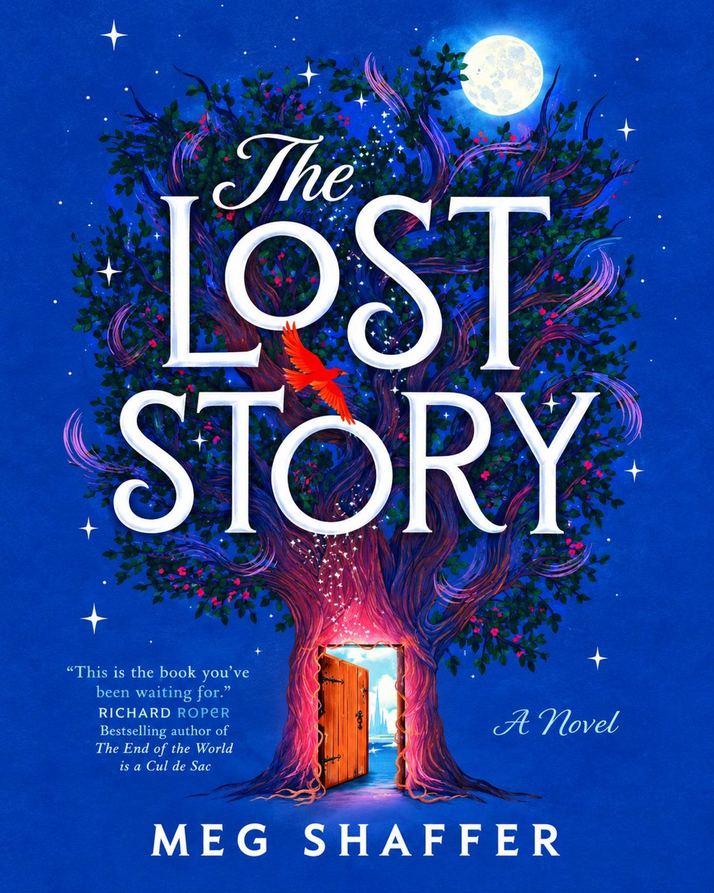The Lost Story by Meg Shaffer